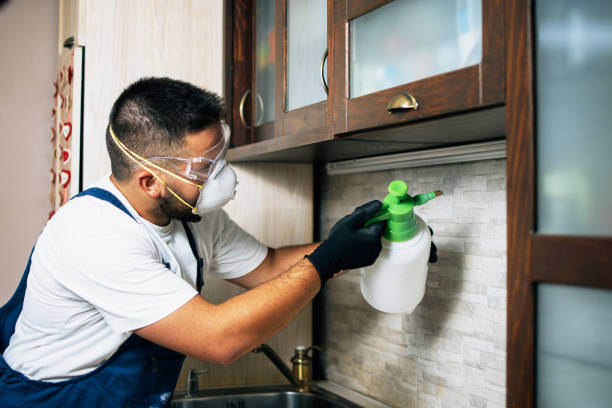 Professional Pest Control in Brookfield, WI