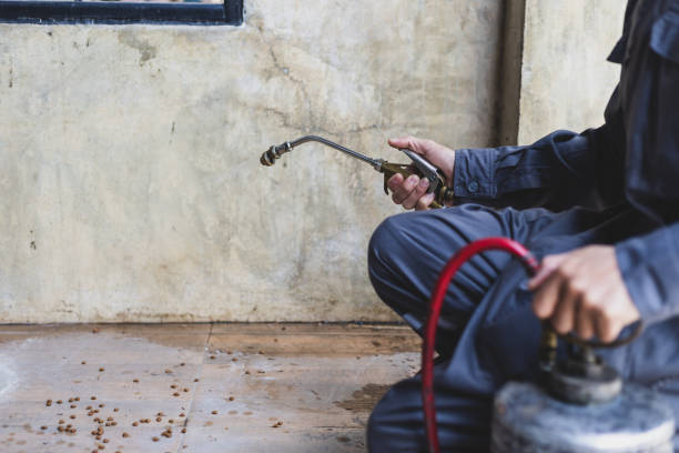 Best Pest Control Near Me  in Brookfield, WI
